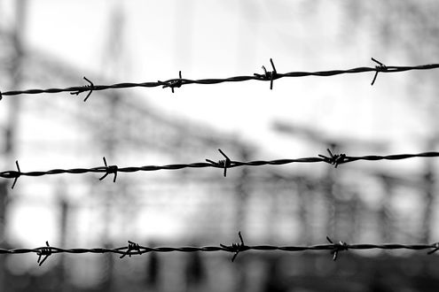 Wohin bringt ihr uns?