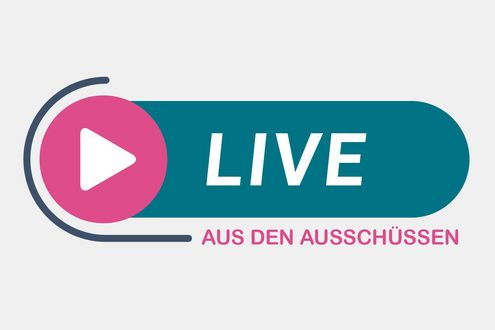 Ausschusssitzungen